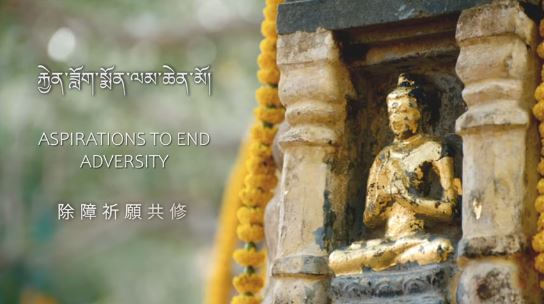 Sa Sainteté le Gyalwang Karmapa préside les prières des Monlams du 20 au 27 janvier 2021